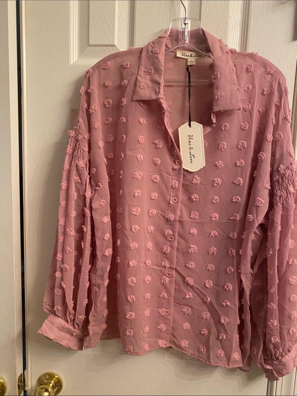 Vine & Love Blush Pink Swiss Dot Button-Front Shirt